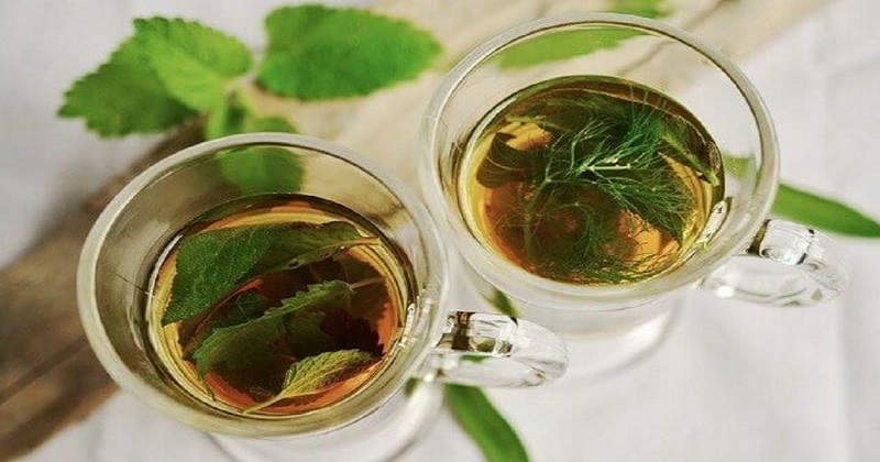 Conheça o chá de erva doce
