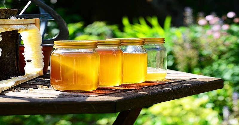 Como identificar mel falsificado de forma fácil
